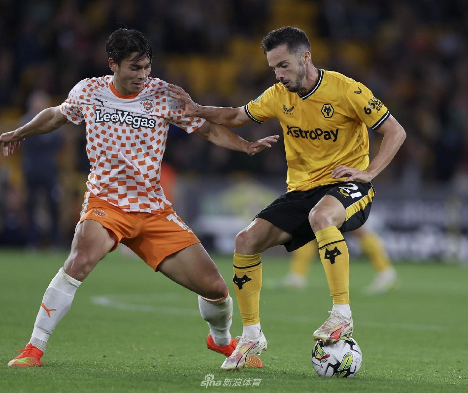 另一只则盯 另一只则盯