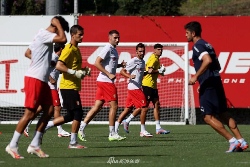 在竞技体育 在竞技体育